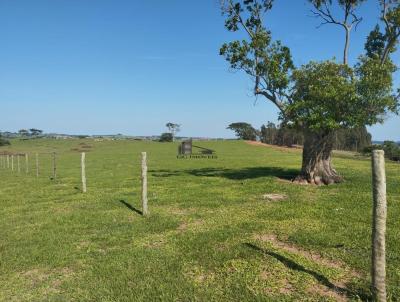 S�tio para Venda, em Oscar Bressane, bairro �rea Rural de Oscar Bressane
